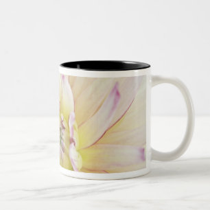 USA, Washington, Bellevue, Bellevue Botanical 2 Two-Tone Coffee Mug