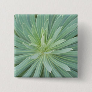 USA, Washington, Bellevue, Bellevue Botanical 4 15 Cm Square Badge