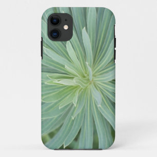 USA, Washington, Bellevue, Bellevue Botanical 4 iPhone 11 Case