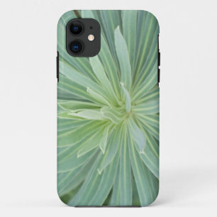 USA, Washington, Bellevue, Bellevue Botanical 4 iPhone 11 Case