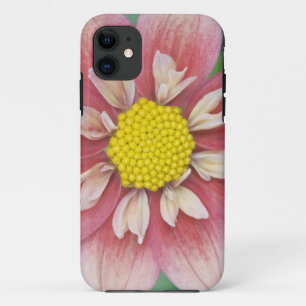 USA, Washington, Bellevue, Bellevue Botanical iPhone 11 Case