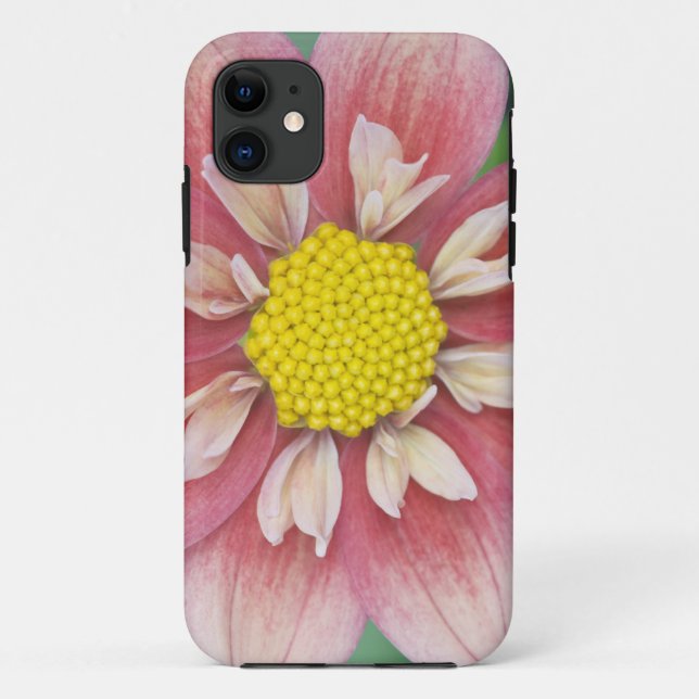USA, Washington, Bellevue, Bellevue Botanical Case-Mate iPhone Case (Back)