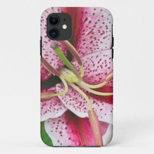 USA, Washington, Bellevue, Lily iPhone 11 Case