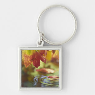 USA, Washington, Bellingham, Close-up of autumn Key Ring
