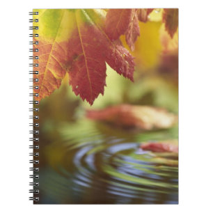 USA, Washington, Bellingham, Close-up of autumn Notebook