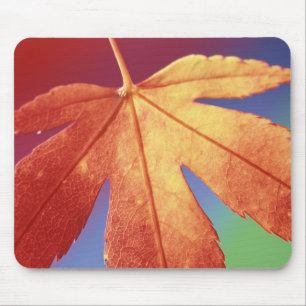 USA, Washington, Bellingham. Credit as: Steve Mouse Pad