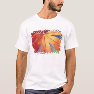 USA, Washington, Bellingham. Credit as: Steve T-Shirt