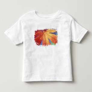 USA, Washington, Bellingham. Credit as: Steve Toddler T-Shirt