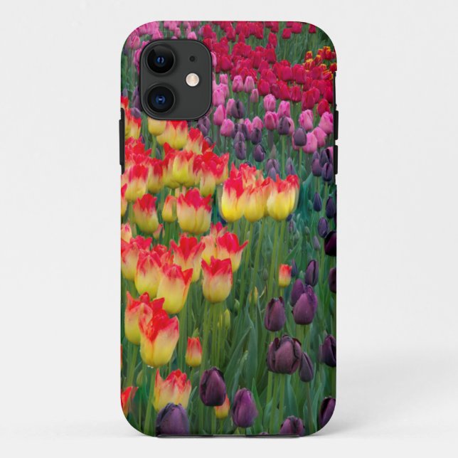 USA, Washington. Blooming Tulips 2 Case-Mate iPhone Case (Back)