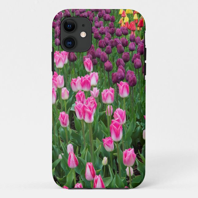 USA, Washington. Blooming Tulips Case-Mate iPhone Case (Back)