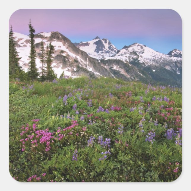 USA, Washington, Cascade Mountains, North Square Sticker (Front)
