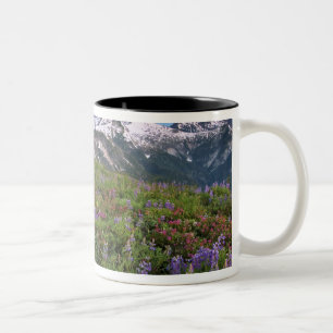 USA, Washington, Cascade Mountains, North Two-Tone Coffee Mug