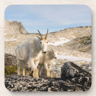 USA, Washington, Cascade Range 2 Coaster