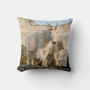 USA, Washington, Cascade Range 2 Cushion