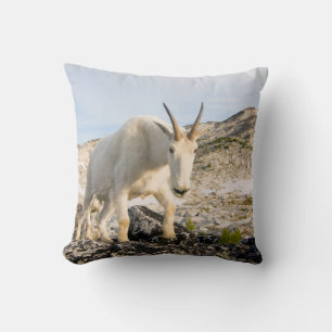 USA, Washington, Cascade Range 3 Cushion