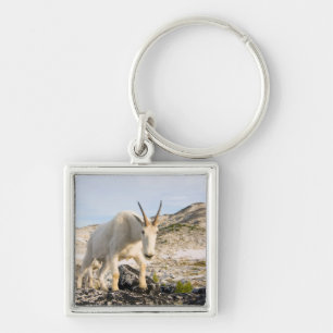 USA, Washington, Cascade Range 3 Key Ring