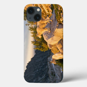 USA, Washington, Cascade Range 4 iPhone 13 Case