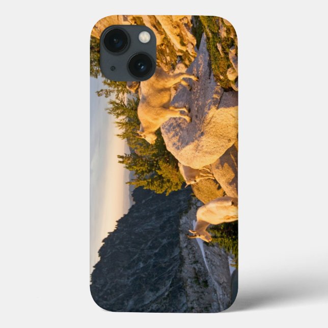 USA, Washington, Cascade Range 4 Case-Mate iPhone Case (Back)