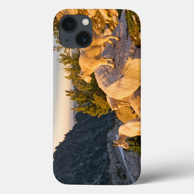 USA, Washington, Cascade Range 4 Case-Mate iPhone Case (Back)