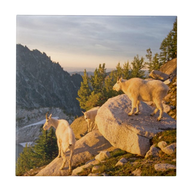 USA, Washington, Cascade Range 4 Ceramic Tile (Front)