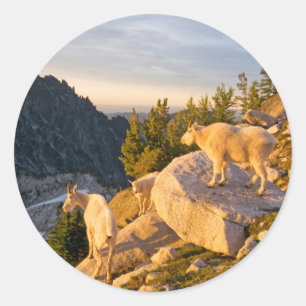 USA, Washington, Cascade Range 4 Classic Round Sticker