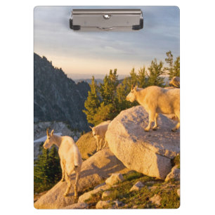 USA, Washington, Cascade Range 4 Clipboard
