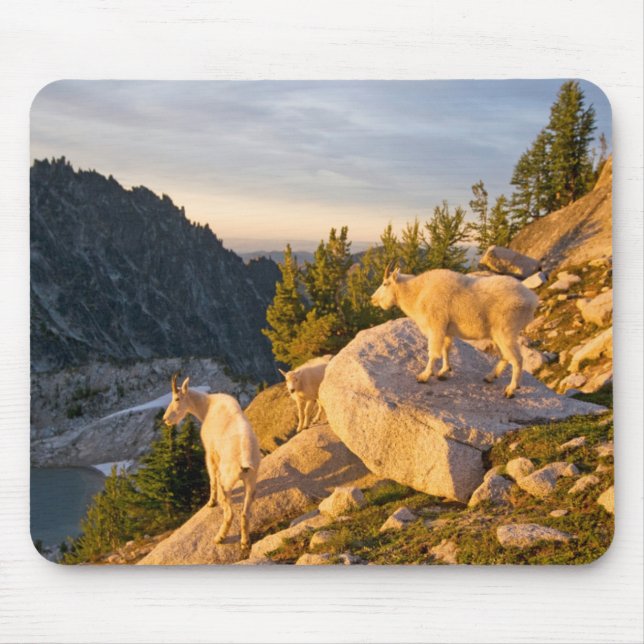 USA, Washington, Cascade Range 4 Mouse Pad (Front)