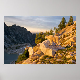 USA, Washington, Cascade Range 4 Poster