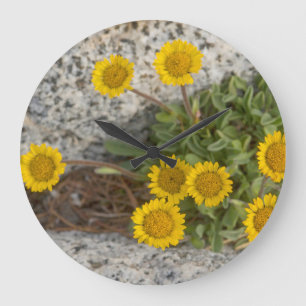 USA, Washington, Cascade Range 5 Large Clock