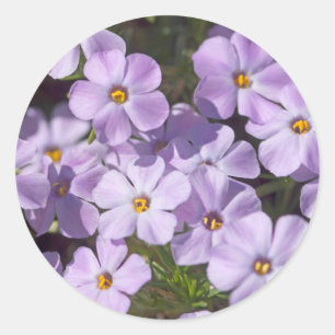 USA, Washington, Cascade Range 6 Classic Round Sticker