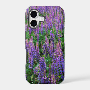 USA, Washington, Clallam County, Lupine