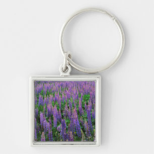 USA, Washington, Clallam County, Lupine Key Ring