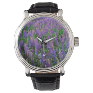 USA, Washington, Clallam County, Lupine Watch