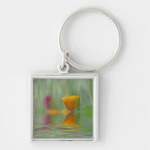 USA, Washington, Close-up abstract of California Key Ring