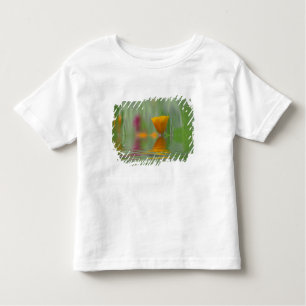 USA, Washington, Close-up abstract of California Toddler T-Shirt