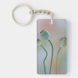 USA, Washington. Close-Up Of Colourful Poppy Seed Key Ring