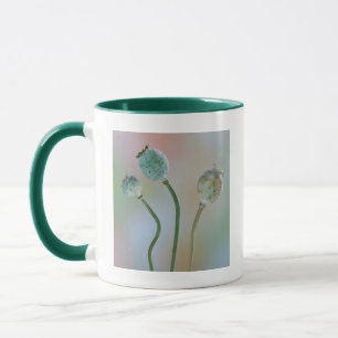 USA, Washington. Close-Up Of Colourful Poppy Seed Mug
