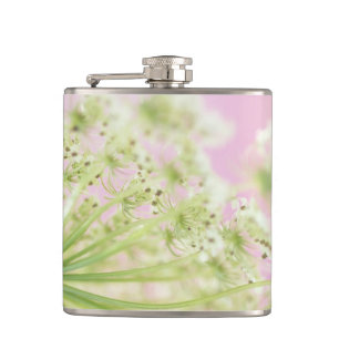 USA, Washington, Close-up of cow parsnip Hip Flask