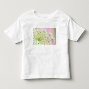 USA, Washington, Close-up of cow parsnip Toddler T-Shirt