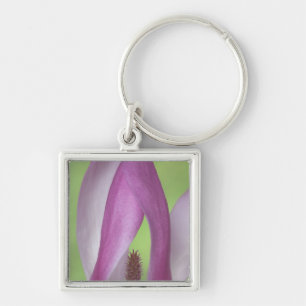 USA, Washington. Close-up of magnolia blossom. Key Ring