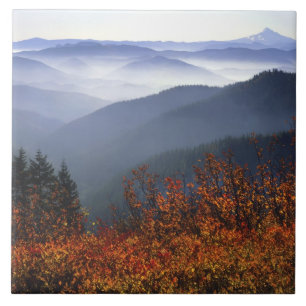USA, Washington, Columbia River Gorge National Tile