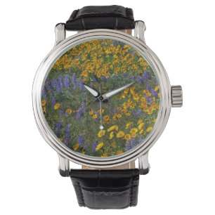 USA, Washington, Columbia River Gorge National Watch