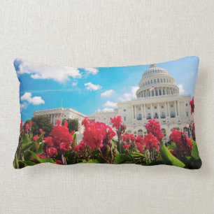 USA, Washington DC, Capitol Building Lumbar Cushion