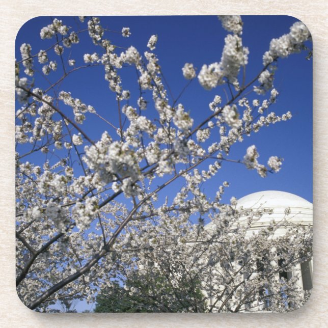 USA, Washington DC. Cherry Blossom Festival and 2 Coaster (Front)