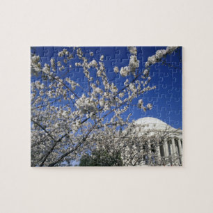USA, Washington DC. Cherry Blossom Festival and 2 Jigsaw Puzzle