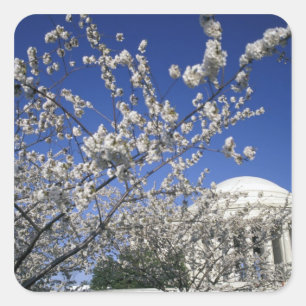 USA, Washington DC. Cherry Blossom Festival and 2 Square Sticker