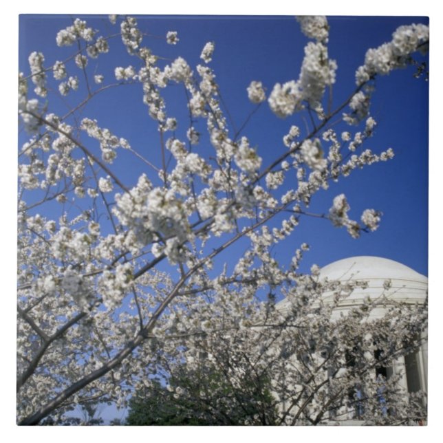USA, Washington DC. Cherry Blossom Festival and 2 Tile (Front)