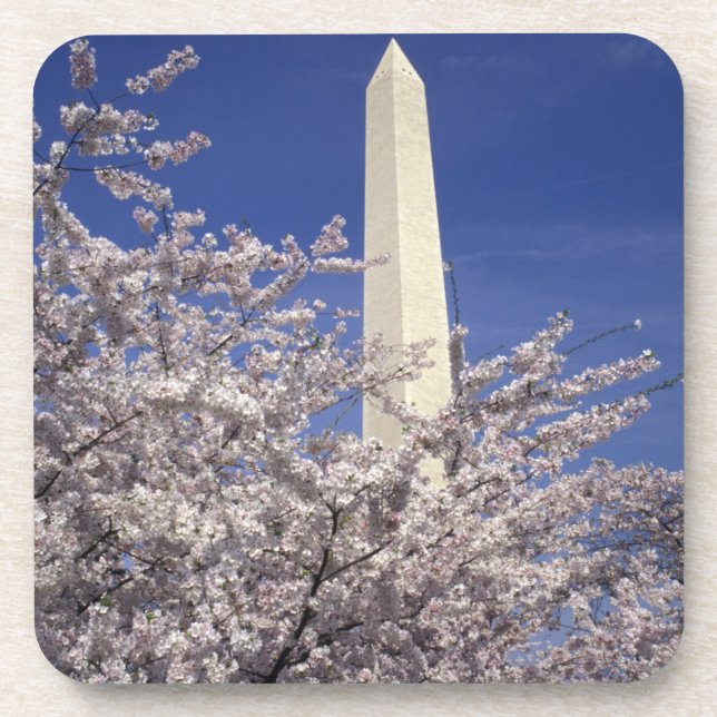 USA, Washington DC. Cherry Blossom Festival and Coaster (Front)