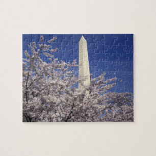 USA, Washington DC. Cherry Blossom Festival and Jigsaw Puzzle