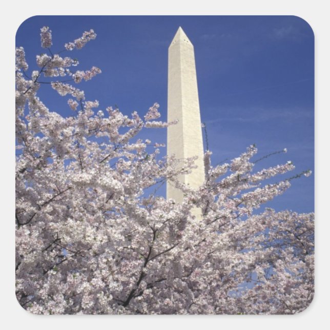 USA, Washington DC. Cherry Blossom Festival and Square Sticker (Front)
